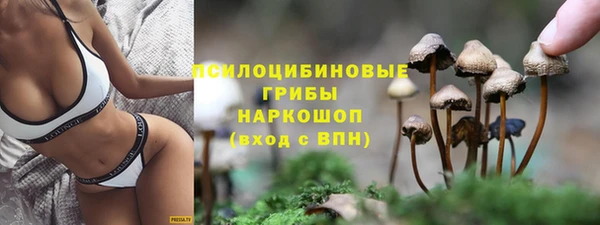 тгк Медвежьегорск