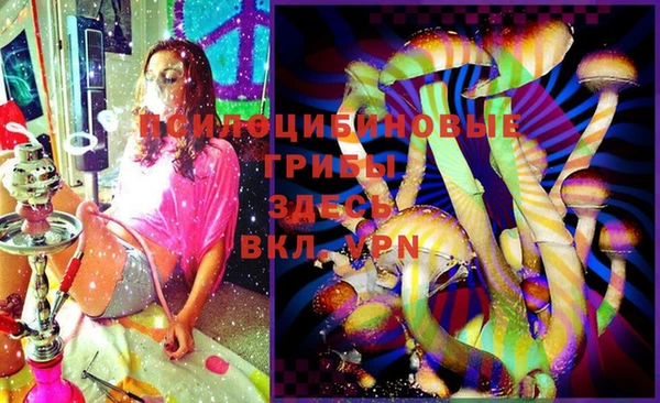 spice Михайловск