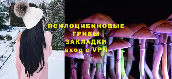 тгк Медвежьегорск
