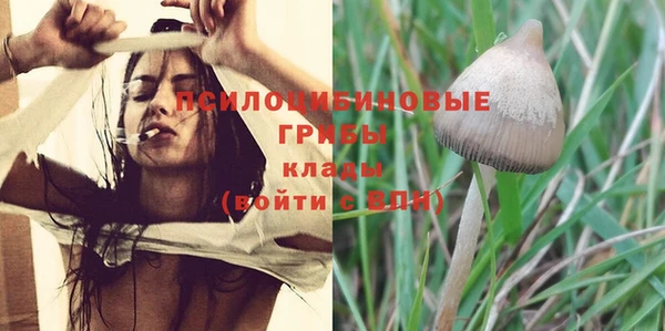 тгк Медвежьегорск