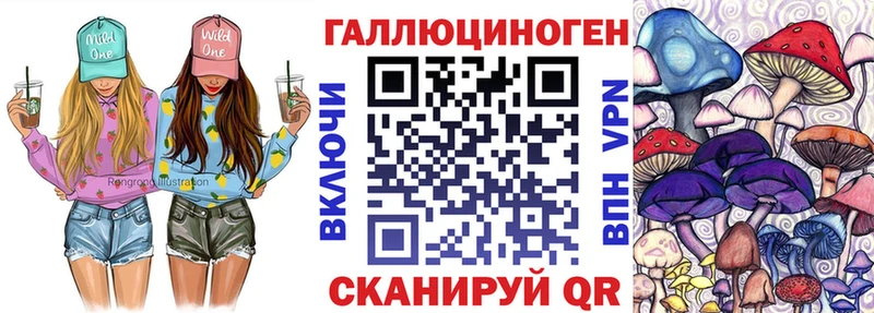купить   Орлов  Галлюциногенные грибы Psilocybine cubensis 