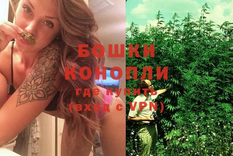 Конопля SATIVA & INDICA  Орлов 